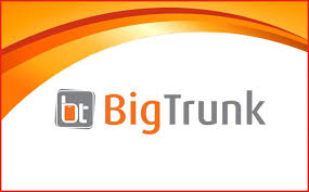 bigtrunk logo